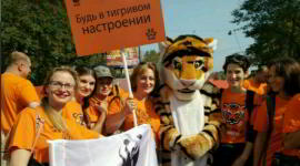 В костюмах тигра и с плакатами