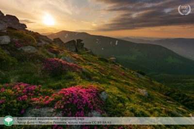 Лучшие фотографии природы Украины: 10 фотографий, от которых перехватит дух