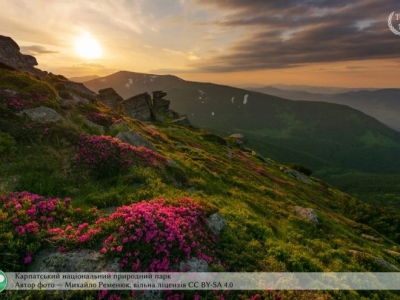 Лучшие фотографии природы Украины: 10 фотографий, от которых перехватит дух