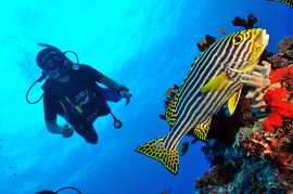 Рыбалка по-крупному в Dhigali Maldives