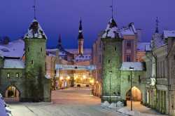 Привитым россиянам разрешили въезд 50 стран, из них лишь 13 &ndash; со &laquo;Спутник Лайт&raquo;