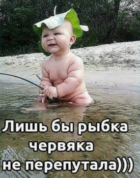 Прикольные и смешные картинки для души (20 фото)