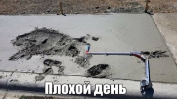 Прикольные и смешные картинки для души (20 фото)