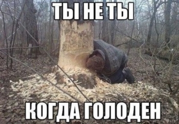 Прикольные и смешные картинки для души (20 фото)