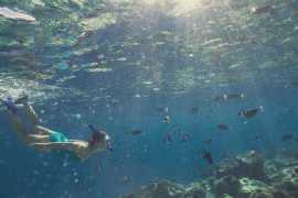 Удивительный отпуск в Kurumba Maldives