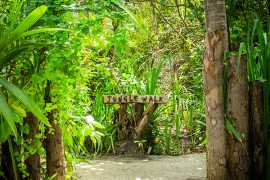 Большие огни джунглей в Dhigali Maldives